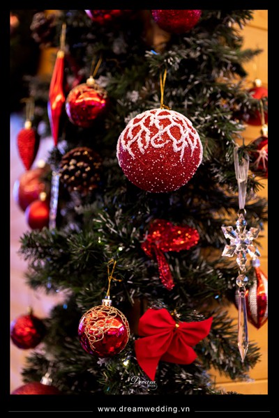 Christmas at Palazzo - 7.jpg